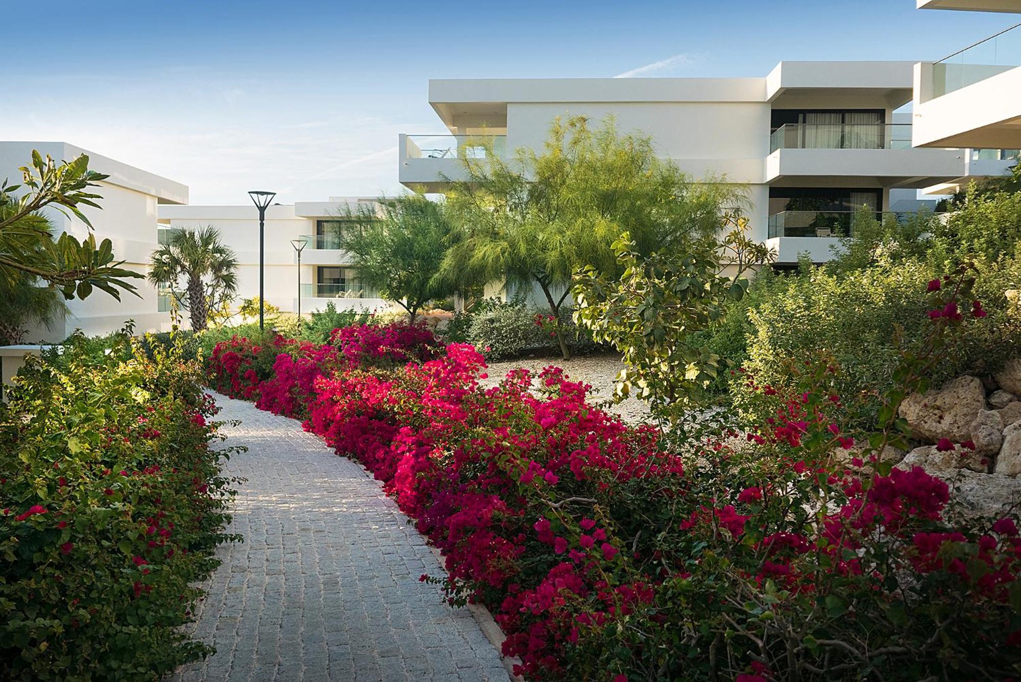 Papagayo Beach Hotel (Adults Only) Виллемстад Экстерьер фото